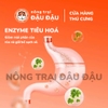 Thức Ăn Cho Rùa Giàu Dinh Dưỡng Cám Cho Rùa 42% Protein Hộp 100g