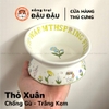 Chén Ăn Cho Thỏ, Bọ Ú, Chinchilla Chén Ăn Chống Lật Gốm Sứ Cao Cấp