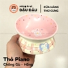 Chén Ăn Cho Thỏ, Bọ Ú, Chinchilla Chén Ăn Chống Lật Gốm Sứ Cao Cấp