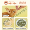 Viên Bổ Sung Đu Đủ Dứa Tiêu Búi Lông Cho Thỏ Yee Hộp 40g