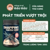 Thức Ăn Cho Rùa Yee Giàu Protein Phát Triển Vượt Trội
