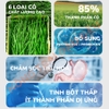 Bánh Cỏ Sợi Yee Cho Thỏ, Bọ Ú, Chinchilla 85% Thành Phần Từ Cỏ 280g