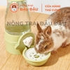 Bình nước uống cho thú cưng, loại treo lồng, chất liệu bằng nhựa PP, kt(25x12.5x20)cm