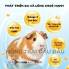 Cỏ Nén Pronutri Vitamin C 800g