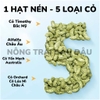 Cỏ Nén Pronutri Vitamin C 800g