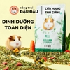 Cỏ Nén Cho Bọ Ú Yee Bổ Sung Trái Cây Rau Củ 1.2kg