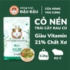 Cỏ Nén Cho Bọ Ú Yee Bổ Sung Trái Cây Rau Củ 1.2kg