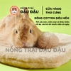 Đệm Bông Yee