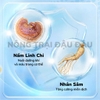 Cỏ Nén Pronutri Thỏ Già