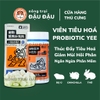 Viên Hỗ Trợ Tiêu Hoá Yee Cho Thỏ, Bọ Ú, Chinchilla Thúc Đẩy Tiêu Hoá, Giảm Mùi Hôi Phân Hộp 40g