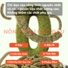 Bánh Cỏ Timothy Thảo Mộc Yee Cho Thỏ, Bọ Ú, Chinchilla 80% Từ Cỏ Giàu Chất Xơ 200g