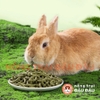 Bánh Cỏ Timothy Thảo Mộc Yee Cho Thỏ, Bọ Ú, Chinchilla 80% Từ Cỏ Giàu Chất Xơ 200g