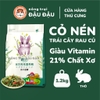Cỏ Nén Cho Thỏ Yee Trái Cây Rau Củ