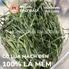 Cỏ Lúa Mạch Đen Cho Thỏ, Bọ Ú, Chinchilla Ăn Vặt Thơm Ngon 250g