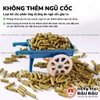 Cỏ Nén Timothy Cho Bọ Ú Chuột Lang Niu Chong Giàu Chất Xơ Bổ Sung Việt Quất 800g