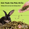 Cỏ Nén Cho Thỏ Niu Chong Giàu Chất Xơ Bổ Sung Việt Quất 800g
