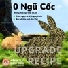 Cỏ Nén Cho Thỏ Niu Chong Giàu Chất Xơ Bổ Sung Việt Quất 800g