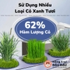 Cỏ Nén Cho Thỏ Niu Chong Giàu Chất Xơ Bổ Sung Việt Quất 800g