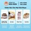 Bột Sữa Dê Yee