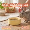 Chén Ăn Chống Lật Cho Thỏ, Bọ Ú, Chinchilla, Chó, Mèo Chất Liệu Gốm Sứ Cao Cấp