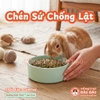 Chén Ăn Chống Lật Cho Thỏ, Bọ Ú, Chinchilla, Chó, Mèo Chất Liệu Gốm Sứ Cao Cấp