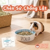 Chén Ăn Chống Lật Cho Thỏ, Bọ Ú, Chinchilla, Chó, Mèo In Hình Spoiled Gốm Sứ Cao Cấp