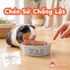 Chén Ăn Chống Lật Cho Thỏ, Bọ Ú, Chinchilla, Chó, Mèo In Hình Spoiled Gốm Sứ Cao Cấp