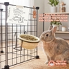 Chén Ăn Treo Chuồng Cho Thỏ, Bọ Ú, Chinchilla, Chó, Mèo Gốm Sứ Cao Cấp