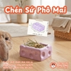 Chén Ăn Cho Thỏ, Bọ Ú, Chinchilla, Mèo, Chó Chất Liệu Gốm Sứ Hình Phô Mai Dễ Thương