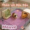 Thảm Thấm Hút Lót Chuồng Cho Thỏ, Bọ Ú (Chuột Lang) Pee Pads