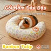 Gối Nằm Đậu Đậu Chuyên Dụng Cho Bọ Ú, Thỏ, Thú Nhỏ, Chó, Mèo