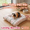 Đệm Cho Bọ Ú, Thỏ, Chinchilla, Thú Nhỏ Đệm Phồng Thoải Mái Thoáng Mát