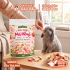 Snack Trái Cây Sấy Thăng Hoa Cho Thỏ, Bọ Ú, Hamster Đậu Đậu Nhấm Nháp Má Hồng Ổi Táo Dâu 25G