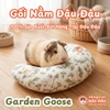 Gối Nằm Đậu Đậu Chuyên Dụng Cho Bọ Ú, Thỏ, Thú Nhỏ, Chó, Mèo
