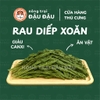 Rau Diếp Xoăn Cho Thỏ, Bọ Ú, Chinchilla Ăn Vặt Giàu Dinh Dưỡng