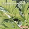Bánh Cỏ Timothy Mài Răng Cho Thỏ, Bọ Ú, Chinchilla, Thú Nhỏ Bổ Sung Ashitaba Hỗ Trợ Tiêu Hoá 70g