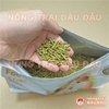 Cỏ Nén Timothy Cho Bọ Ú Chuột Lang Bổ Sung Vitamin C & Omega 3 Yee 800g