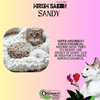 [3.8KG] CÁT VỆ SINH CHO MÈO SANDY (9L) - HƯƠNG CHANH XANH KHỬ MÙI TỐT - TỐI ƯU - TIẾT KIỆM THỜI GIAN DỌN DẸP CHO MÈO