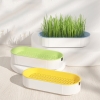 Khay trồng cỏ mèo Oval - Giúp tăng khả năng tiêu hóa