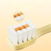 Set 2 bàn chải vịt cho bé