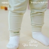 Bộ dài tay nỉ len Beagle Honee 6259