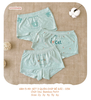 Set 3 quần chip bé gái Good Mama GBH5-49