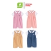 Romer cổ Đức Lullaby -  NH883R