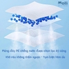 Miếng Lót Chống Thấm Dùng Một Lần Molli Cho Bé