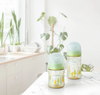Bình sữa Pigeon SofTouch PPSU Plus WN3 phiên bản Nhật hình Cây 160ML