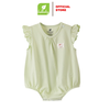 Xanh Green