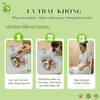 Xông phụ khoa sau sinh Lá trầu không Bảo Nhiên 120g