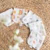 Khăn sữa Molli 100% Premium Bamboo (6 chiếc/hộp)