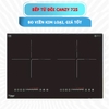 Bếp từ Canzy 725