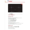 Bếp từ đôi Canzy 666pro
